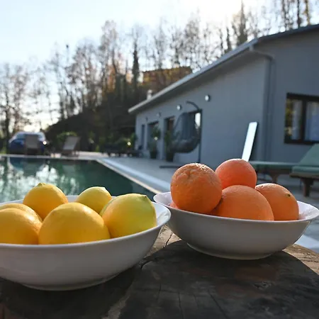 Villa Aries Albania Vora