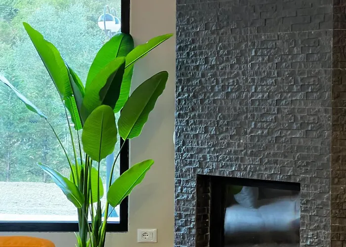 Aries Albania * Vora