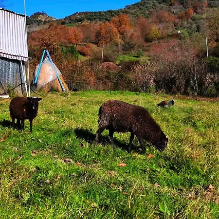 Willa Aries Albania *