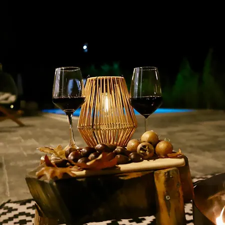 Aries Albania Villa