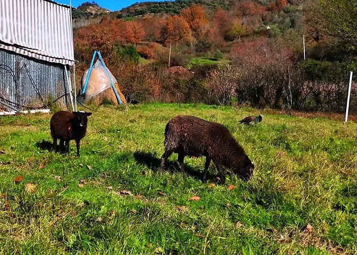 Willa Aries Albania *